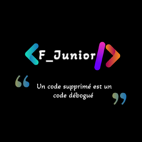 Junior T. - Lead Développeur